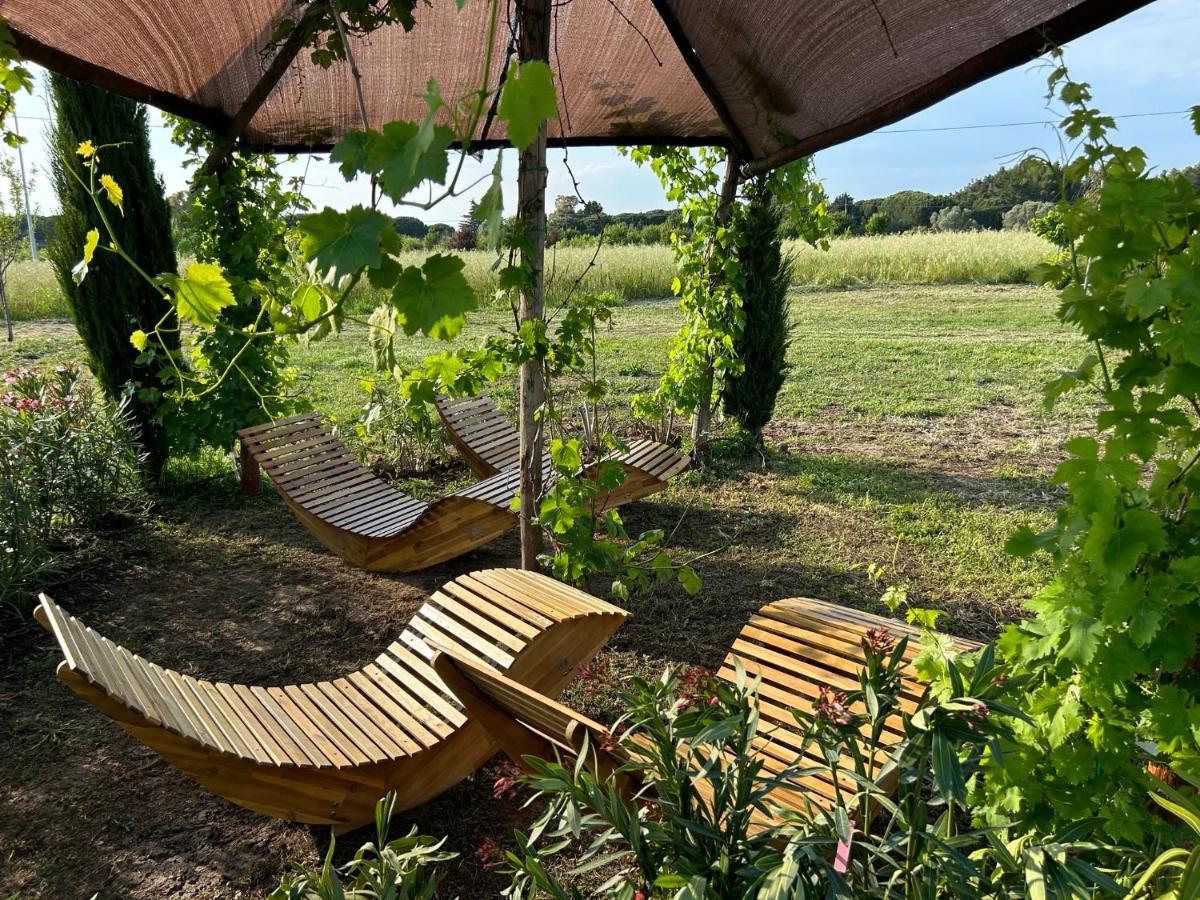 Fattoria Palazzeta - Pet & Family Friendly Aparthotel Чечина Екстериор снимка